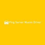 Ping Server Maxim Driver